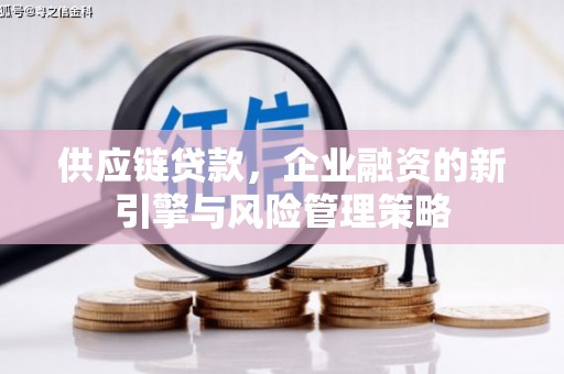 信阳供应链贷款，企业融资的新引擎与风险管理策略