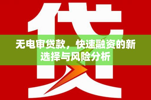 信阳无电审贷款，快速融资的新选择与风险分析
