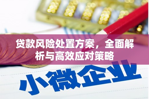 信阳贷款风险处置方案，全面解析与高效应对策略