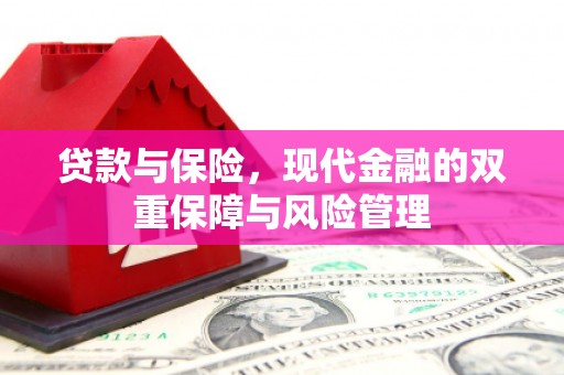 信阳贷款与保险，现代金融的双重保障与风险管理