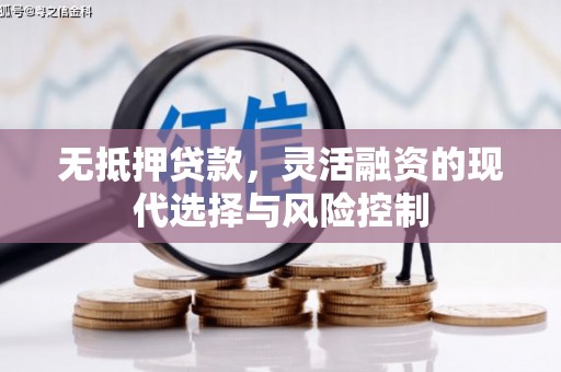 信阳无抵押贷款，灵活融资的现代选择与风险控制