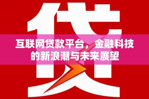 信阳互联网贷款平台，金融科技的新浪潮与未来展望
