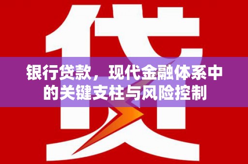信阳银行贷款，现代金融体系中的关键支柱与风险控制