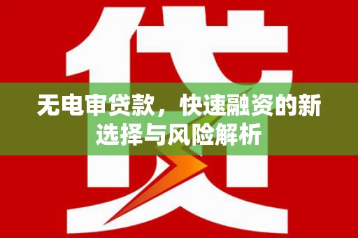 信阳无电审贷款，快速融资的新选择与风险解析