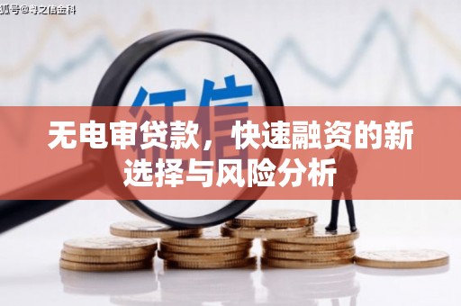 信阳无电审贷款，快速融资的新选择与风险分析
