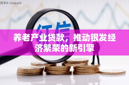 信阳养老产业贷款，推动银发经济繁荣的新引擎