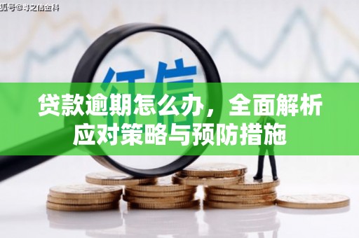 信阳贷款逾期怎么办，全面解析应对策略与预防措施