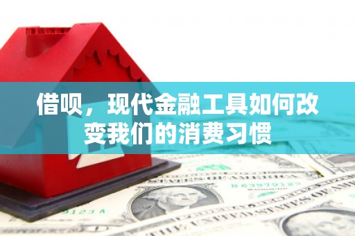 信阳借呗，现代金融工具如何改变我们的消费习惯
