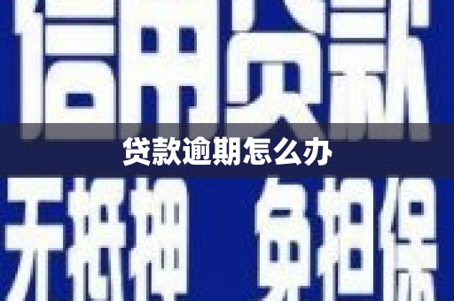 信阳贷款逾期怎么办