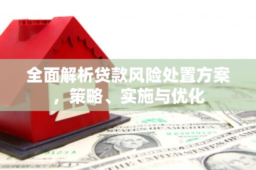 信阳全面解析贷款风险处置方案，策略、实施与优化