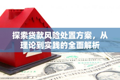 信阳探索贷款风险处置方案，从理论到实践的全面解析