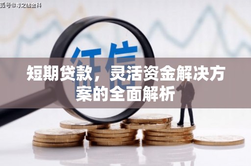 信阳短期贷款，灵活资金解决方案的全面解析