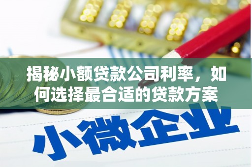 信阳揭秘小额贷款公司利率，如何选择最合适的贷款方案