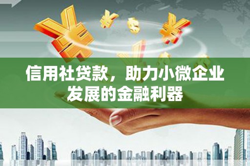 信阳信用社贷款，助力小微企业发展的金融利器