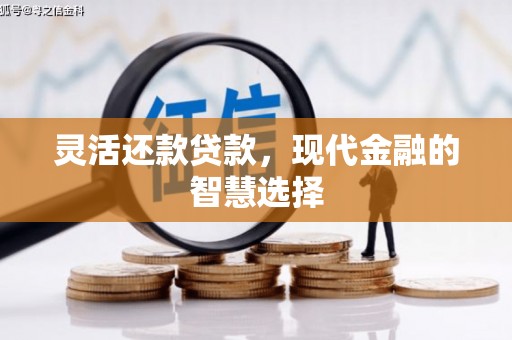 信阳灵活还款贷款，现代金融的智慧选择