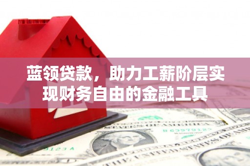信阳蓝领贷款，助力工薪阶层实现财务自由的金融工具