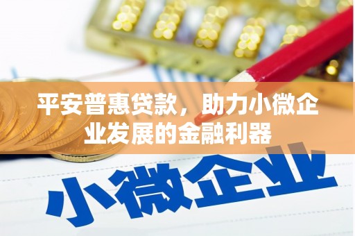 信阳平安普惠贷款，助力小微企业发展的金融利器