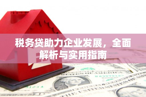 信阳税务贷助力企业发展，全面解析与实用指南