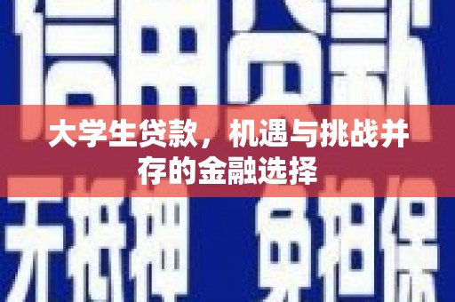 信阳大学生贷款，机遇与挑战并存的金融选择