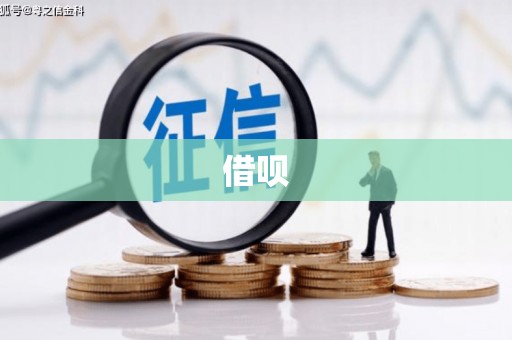 信阳借呗