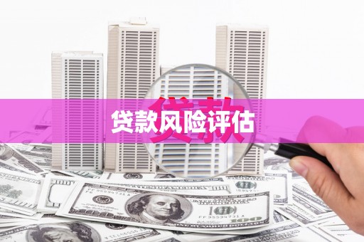 信阳贷款风险评估