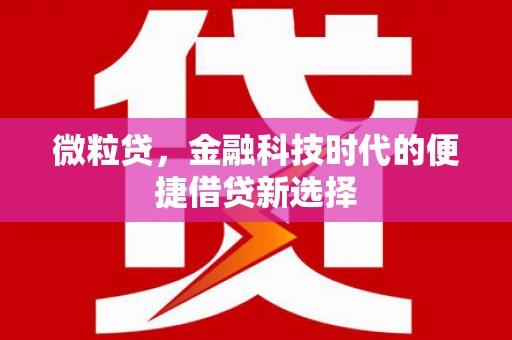 信阳微粒贷，金融科技时代的便捷借贷新选择