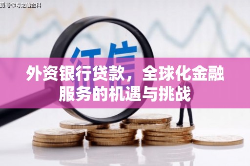 信阳外资银行贷款，全球化金融服务的机遇与挑战