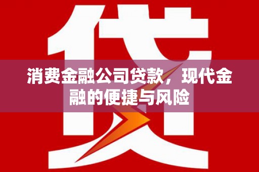 信阳消费金融公司贷款，现代金融的便捷与风险