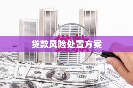信阳贷款风险处置方案
