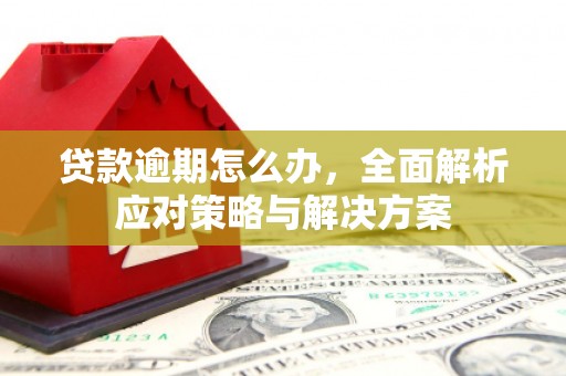信阳贷款逾期怎么办，全面解析应对策略与解决方案