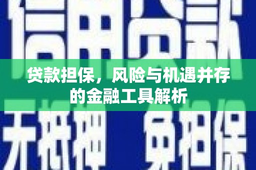 信阳贷款担保，风险与机遇并存的金融工具解析