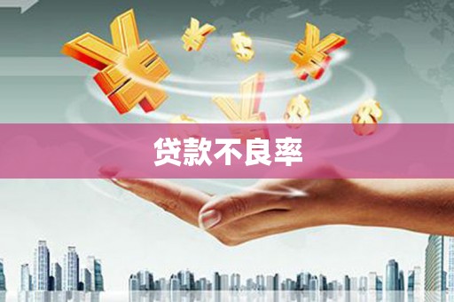 信阳贷款不良率