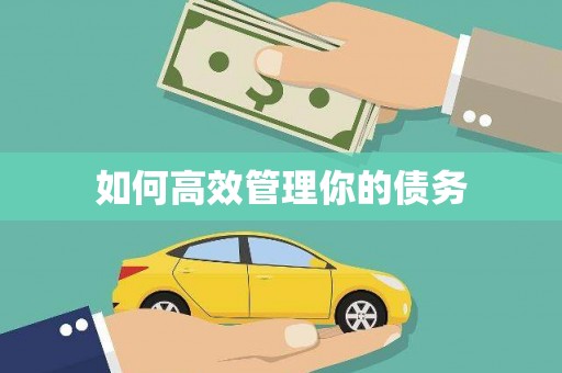 信阳如何高效管理你的债务