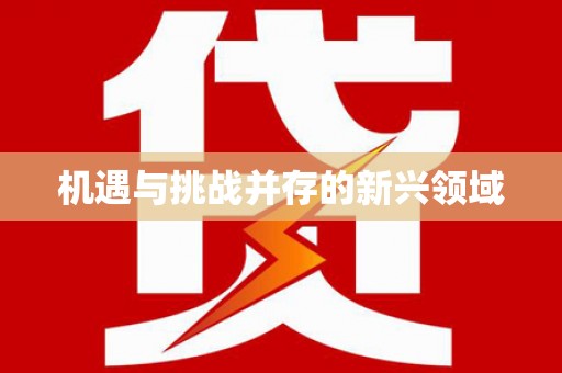 信阳机遇与挑战并存的新兴领域
