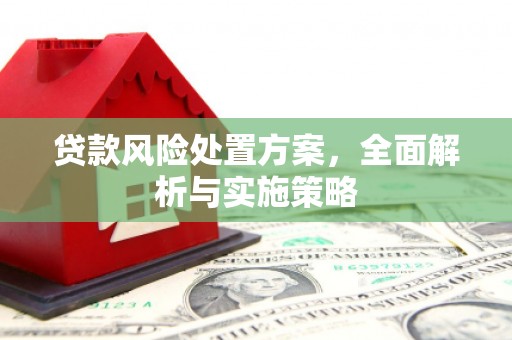 信阳贷款风险处置方案，全面解析与实施策略