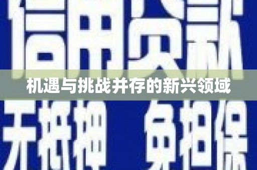 信阳机遇与挑战并存的新兴领域