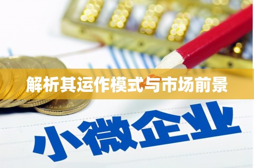 信阳解析其运作模式与市场前景