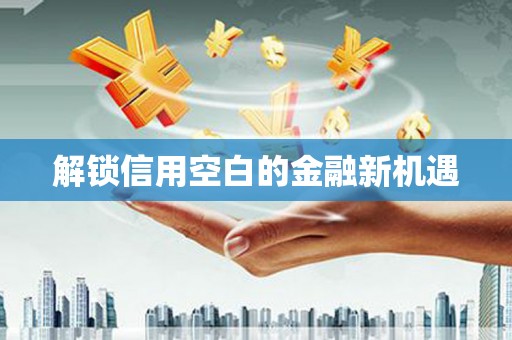 信阳解锁信用空白的金融新机遇