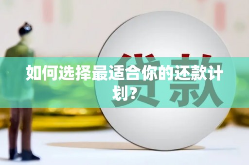 信阳如何选择最适合你的还款计划？