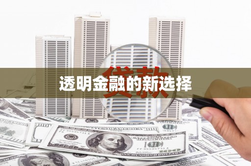 信阳透明金融的新选择
