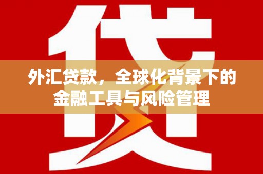 信阳外汇贷款，全球化背景下的金融工具与风险管理